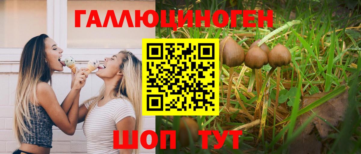 продажа наркотиков  Псилоцибиновые грибы MAGIC MUSHROOMS  Москва  Вход с VPN  Галлюциногенные грибы MAGIC MUSHROOMS 
